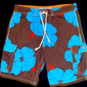 American Eagle Swim Shorts